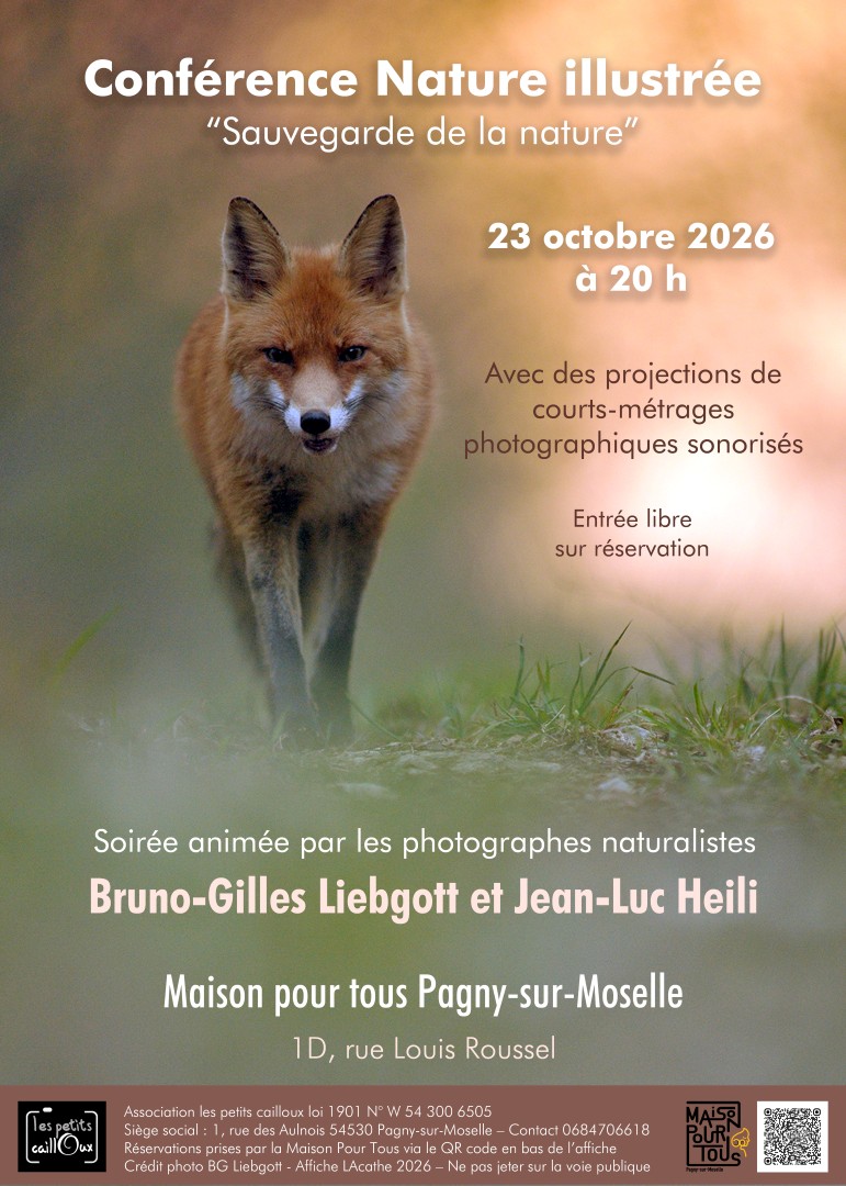 2026 affiche Heili